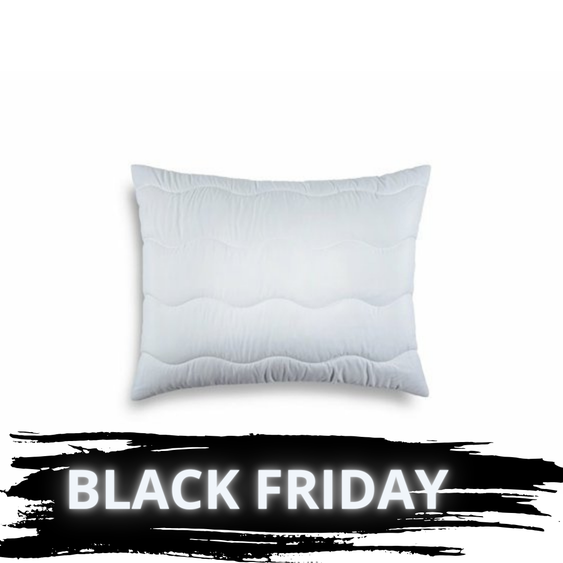 BLACK FRIDAY vankúš aloe.png